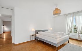 Spacious Central Apartments Hoting